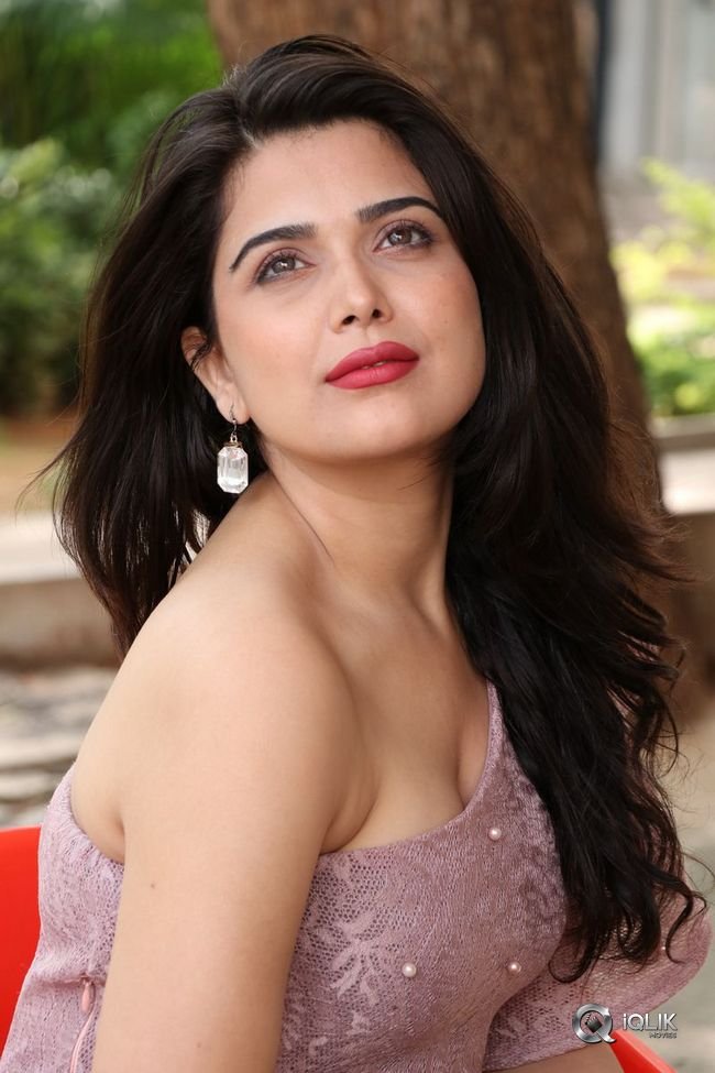 Ayesha-Singh-at-Yedu-Chepala-Katha-Movie-Prees-Meet